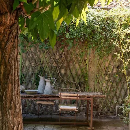 Maison Xixe Et Jardin En Intramuros Avignone Esterno foto